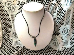 abalone dolphin